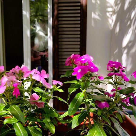 Domus Vetriera Apartment Palermo Ngoại thất bức ảnh